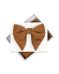 Butterfly Bow-Tie